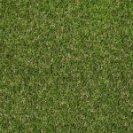 Askham 37mm Artificial Grass
