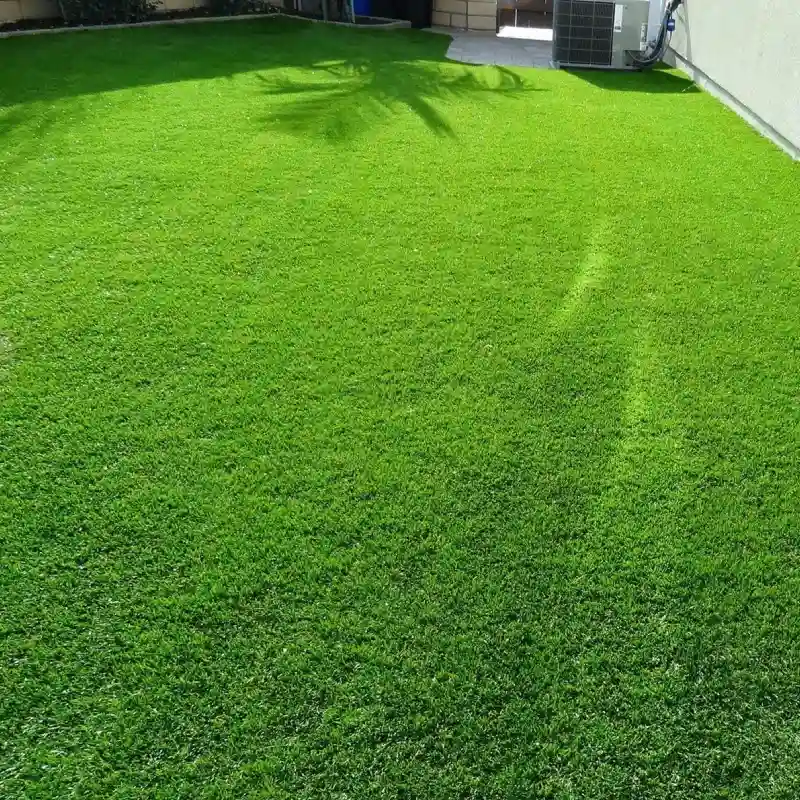 Luxury Artificial Grass Carpet in Dubai