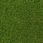 Osterley 30mm Artificial Grass