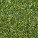 Rawsliffe 17mm Artificial Grass Carpet