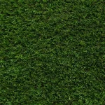 Sequoia 40mm Artificial Grass