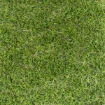 Yewvista 30mm Artificial Grass