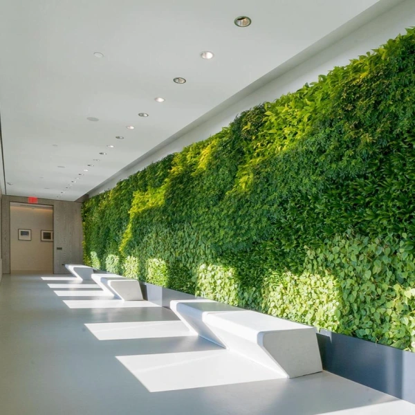 Wall Artificial Grass for Reception areas & workspaces